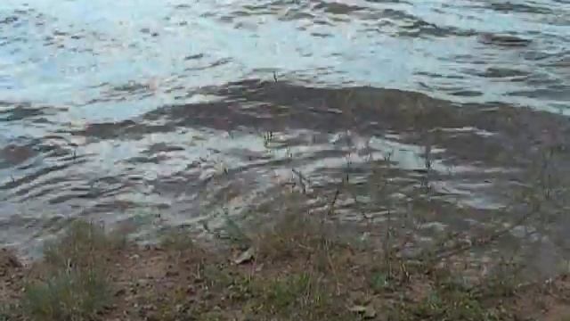 Футажи для видеомонтажа. Футажи волны. Волны на берегу. Море, берег, волна смотреть онлайн