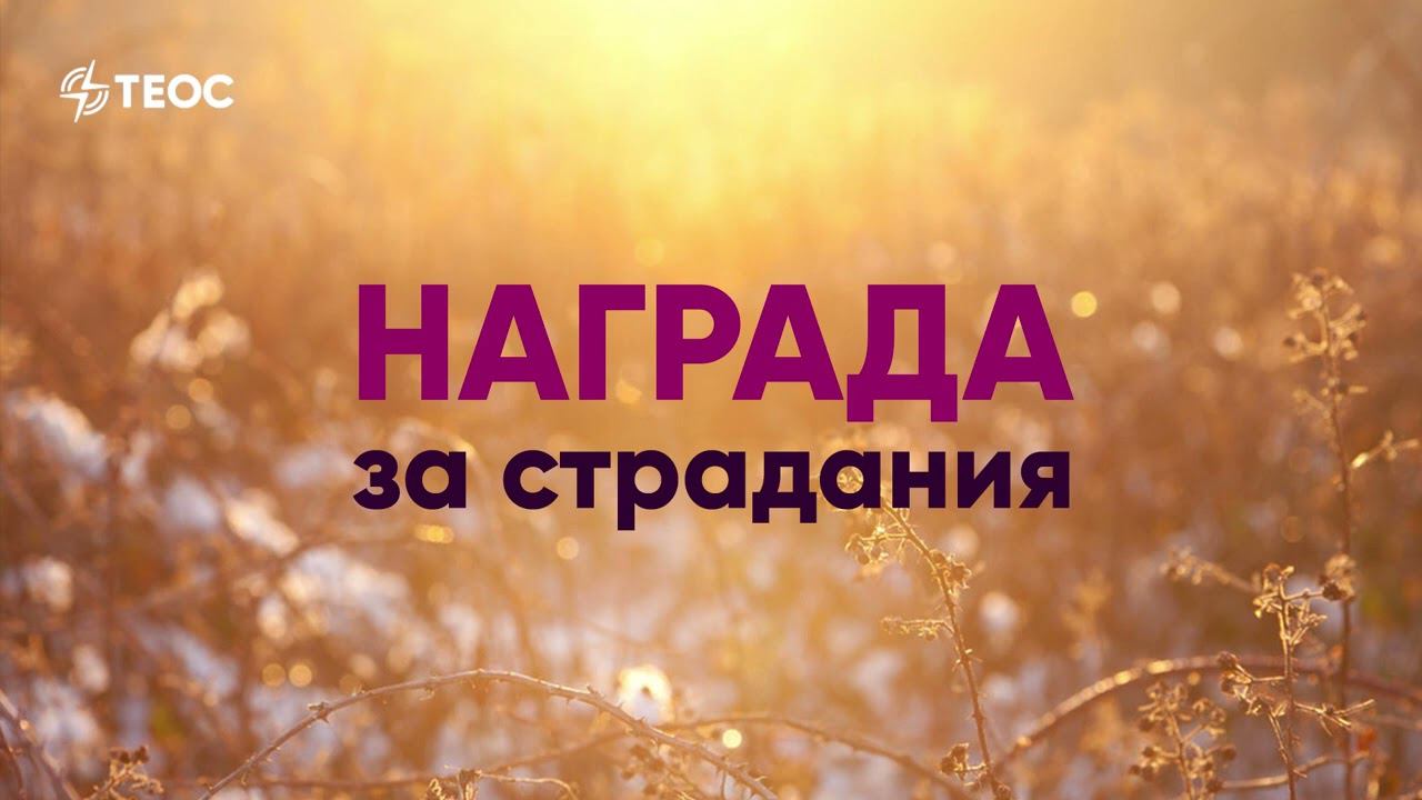 Награда за страдания смотреть онлайн