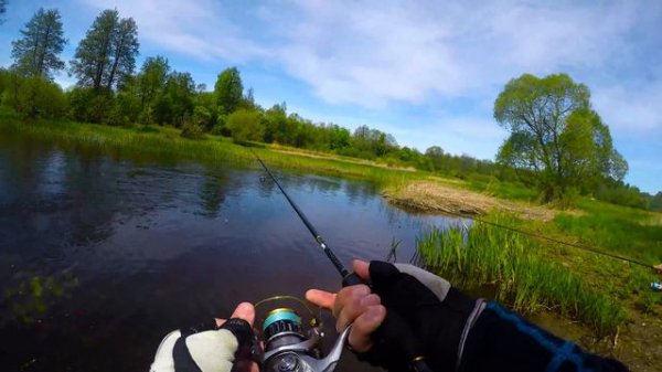 На голавлиной реке с Evergreen Poseidon Salty Sensation PSSS - 76T.