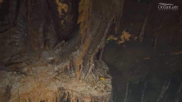 Учёные впервые сняли видео затонувшего Титаника в разрешении 8к! смотреть онлайн