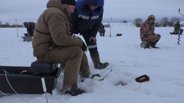Опустил крючки в стаю и сразу поклёвка! Ловля чехони с эхолотом практик! Рыбалка на Оке! смотреть онлайн