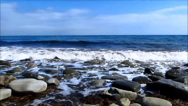 Крым, Судак 2020, Море и Весёлое весной. Цветущая Веселовская бухта