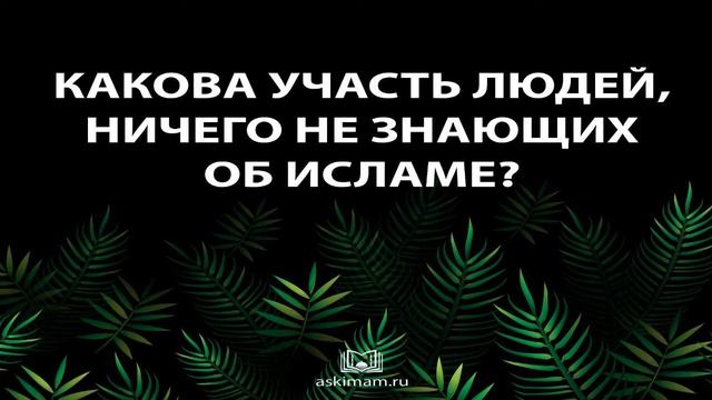КАКОВА УЧАСТЬ ЛЮДЕЙ, НИЧЕГО НЕ ЗНАЮЩИХ ОБ ИСЛАМЕ? смотреть онлайн