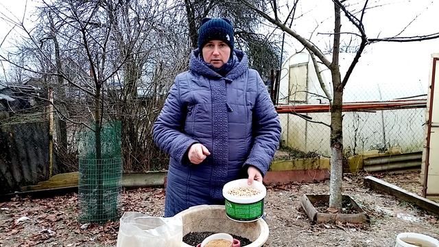 УТРЕННЕЕ КОРМЛЕНИЕ кур в зимний период. Новые добавки в рацион питания. смотреть онлайн