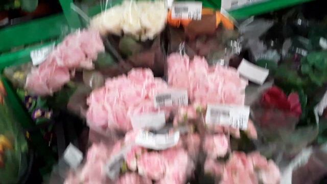 ОРХИДЕИ Ашан Санкт - Петербург 01 марта 2023 смотреть онлайн