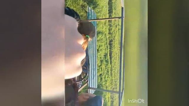 Всей семьёй испробовали болото на вездеходе смотреть онлайн