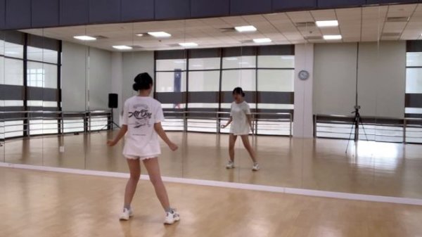 [KPOP DANCE TUTORIAL] Pink Venom - BLACKPINK | Chorus & Dance Break Tutorial by lbyyy