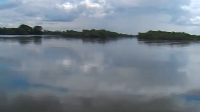 Акутиха-Обь.wmv смотреть онлайн