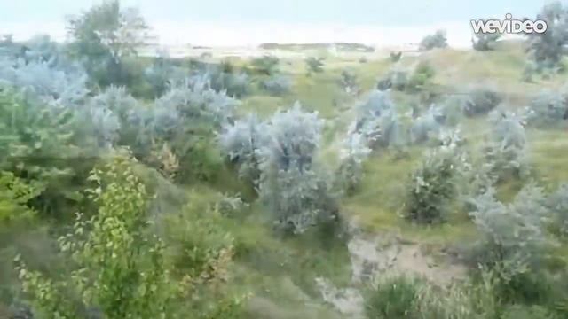 Костешты, Молдова. смотреть онлайн