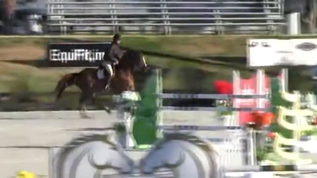 Video of Dicaprio ridden by Daniel Geitner from ShowNet! смотреть онлайн