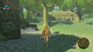 СВИН НА КОНЕ ЗЕЛЬДА Часть 6 The Legend of Zelda Breath of the Wild
