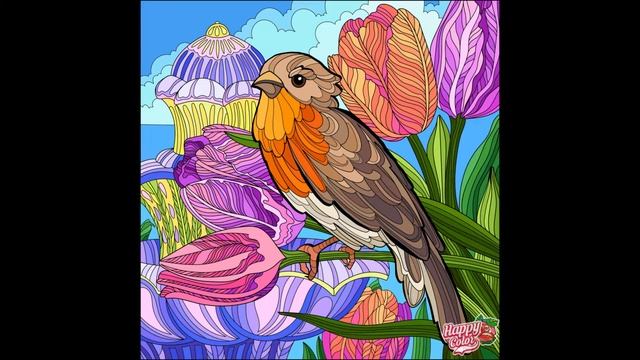 Birdwatching coloring | Speed coloring & final result - Inspiring & spirit-lifting