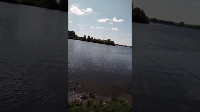 Быть терпеливым как дерево смотреть онлайн