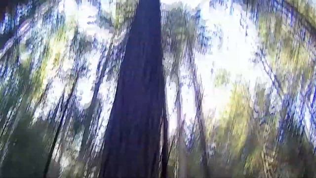 Шушмор. Урочище Юра. Мещерская глухомань смотреть онлайн