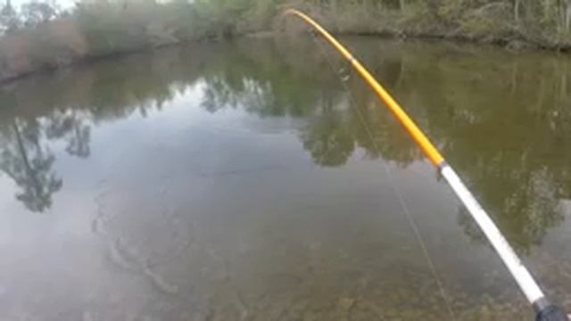 fishing with berkley gulp minnow#fishing смотреть онлайн