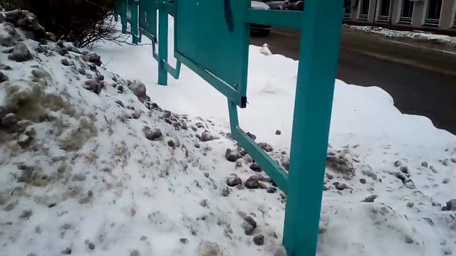 Опасный пешеходный переход смотреть онлайн