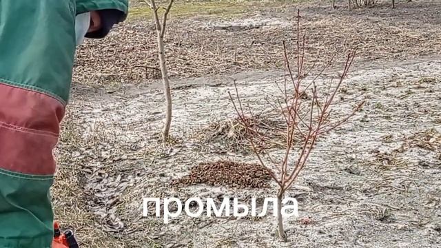 БУРГУНДСКАЯ СМЕСЬ. ПОЧЕМУ ТАК ПОЛУЧИЛОСЬ... смотреть онлайн