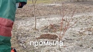 БУРГУНДСКАЯ СМЕСЬ. ПОЧЕМУ ТАК ПОЛУЧИЛОСЬ...