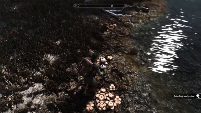 ¿Que siembro? ⚗️Skyrim 🌿🍄🧪 смотреть онлайн