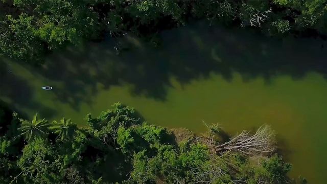 КАК ЗАРАБОТАТЬ В ДОМИНИКАНЕ? I Востребованные Профессии, Зарплаты, Возможные Сферы Бизнеса Экспатов смотреть онлайн