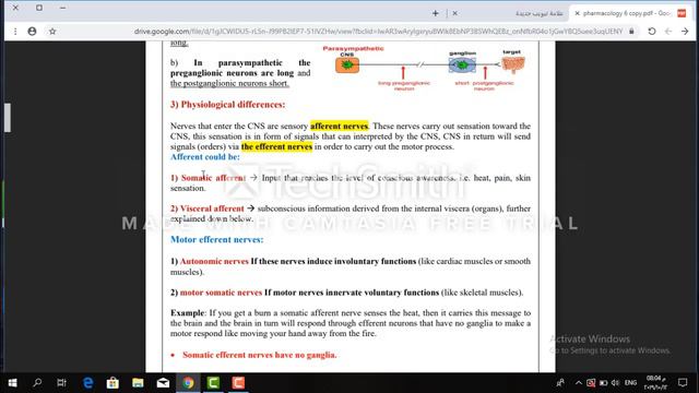 ANS Pharmacology part 1 смотреть онлайн