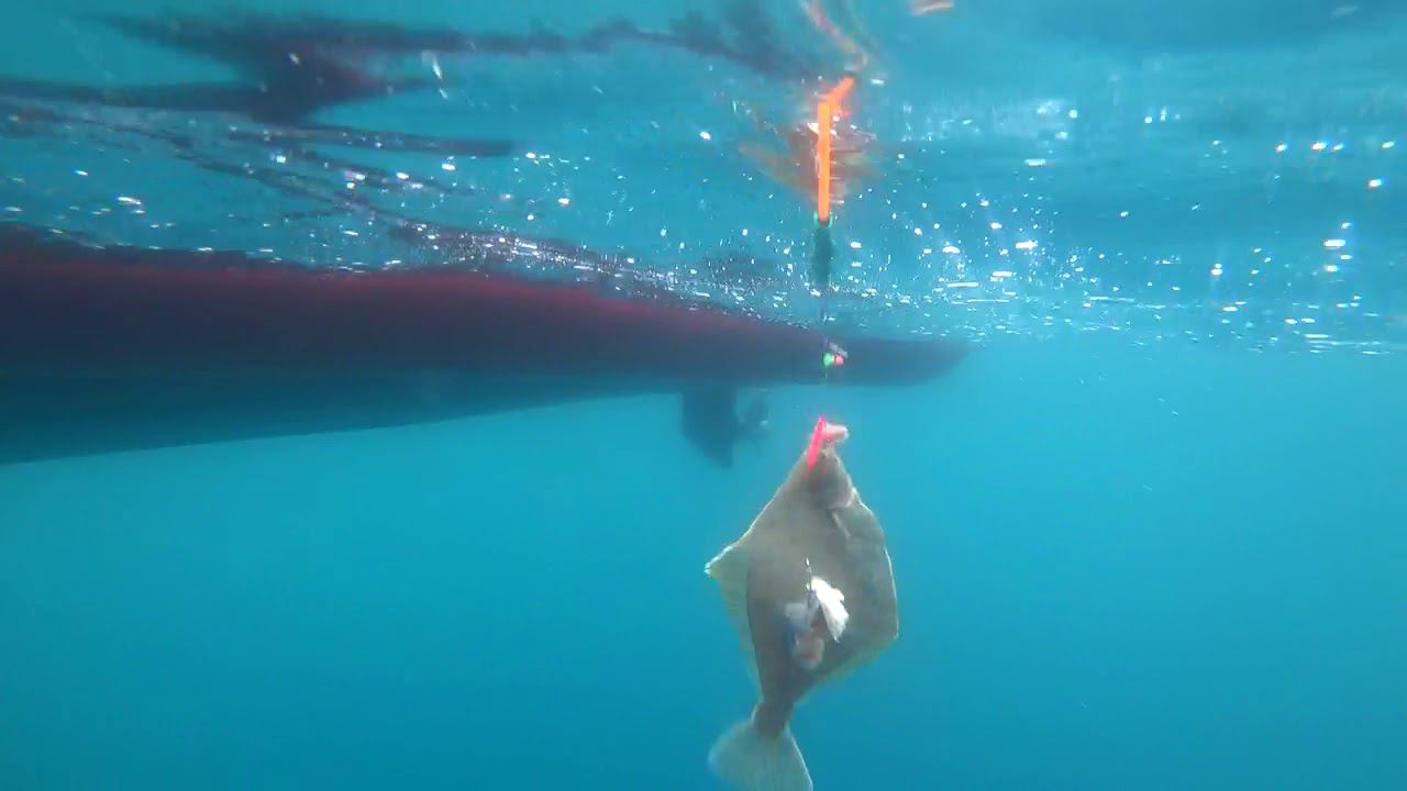 Погружение камеры Sony As300 на  глубину 60 метров  Camera Sony As300 To A Depth Of 60 Meters