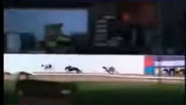 IGB - The Hit or Bust A8/A10 Round 1 Heat 1 27/10/2018 Race 2 - Mullingar смотреть онлайн