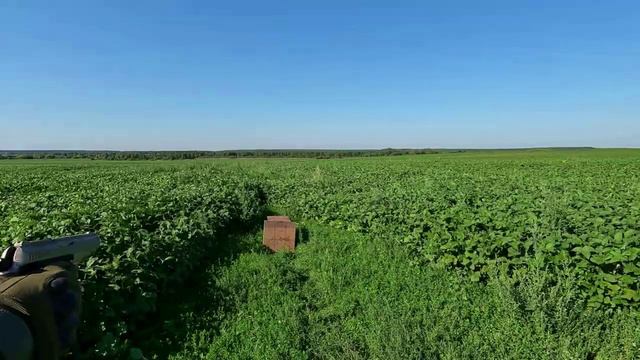 Отстрел травмата Strimer 2014 на разных дистанциях.