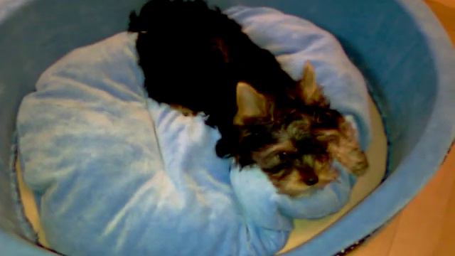 Найк, 3 месяца смотреть онлайн