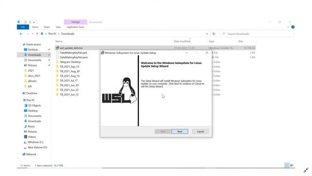 Configure WSL2(Windows Subsystem for Linux 2) & Install Ubuntu 20.04 Operating System on Windows 10 смотреть онлайн