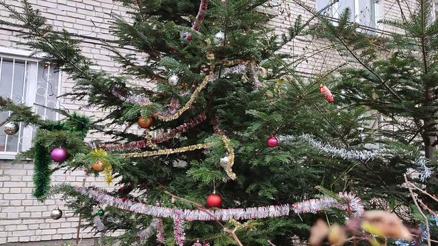 6.01.2024 🤗💓🎄☦️С РОЖДЕСТВОМ ХРИСТОВЫМ!!!☦️🎄💖😘 смотреть онлайн