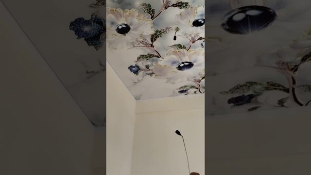 Бухоро натяжной потолок, ишимизга бохо беринг ва заказ беринг, 99 626 88 43, 91 826 88 43, смотреть онлайн