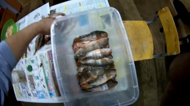 Вялим окунька в гараже. Потрошим по спинке. смотреть онлайн