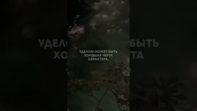 °Поэма "Удел {Ризк}" . смотреть онлайн