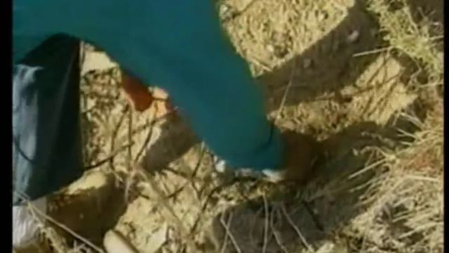 2012 Inversione dei poli magnetici (1/3) смотреть онлайн