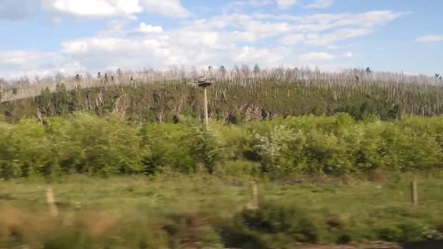 Селенга чистая река.  Selenga