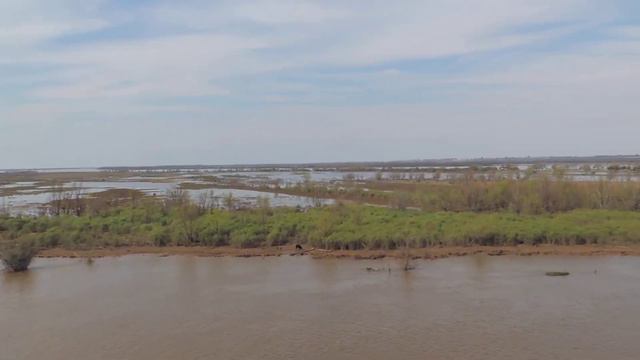 Тайны мясного могущества Аргентины смотреть онлайн