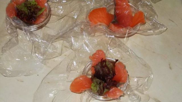 Книга рецептов