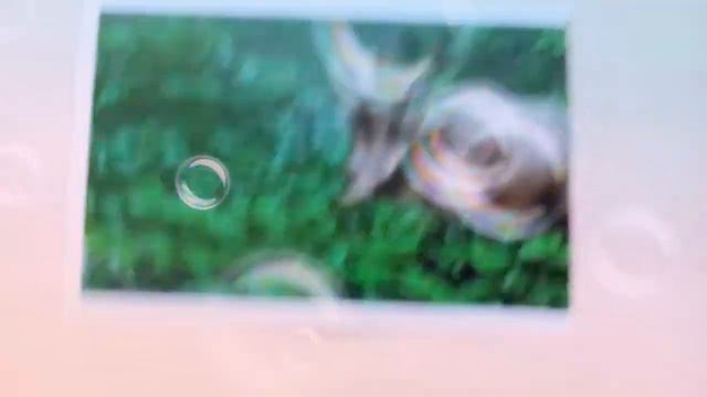 Наклейки динозавры из Дикси смотреть онлайн