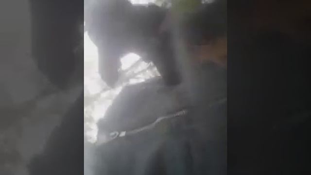 Vlog смотреть онлайн