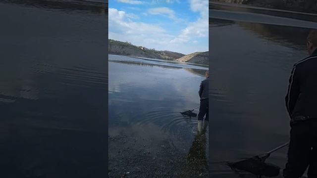 Сомяра смотреть онлайн