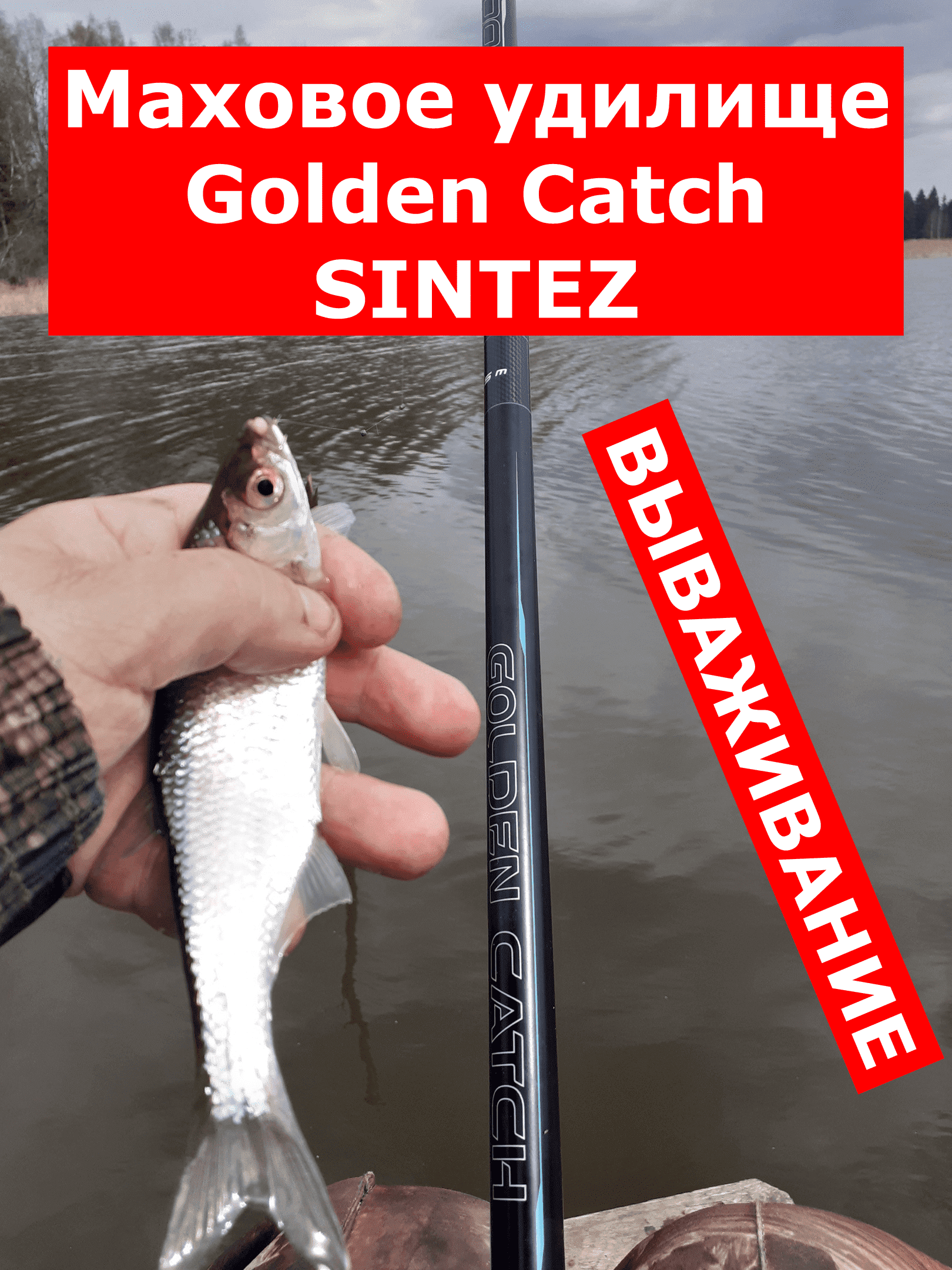 Маховое удилище Golden Catch SINTEZ pole на вываживании. Удилище маховое Голден Кетч Синтез смотреть онлайн