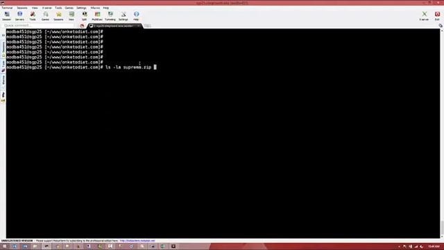 How to Use WP CLI to install and manage new wordpress themes смотреть онлайн