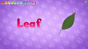 ABC SONG | 26 ABC Alphabet Videos & 11 ABC Songs for Children & Baby