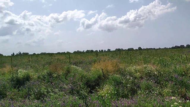 Продажа участка 11 соток в пгт.Ильский смотреть онлайн
