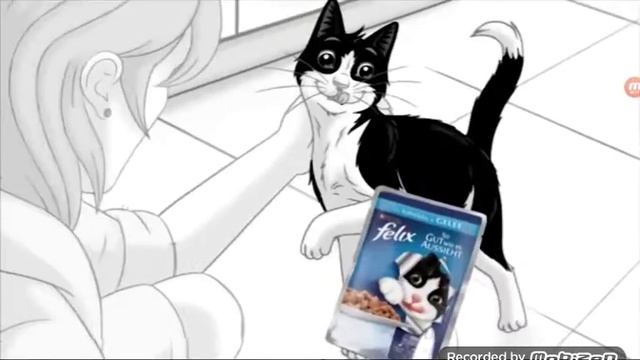 Purina Felix Schweiz