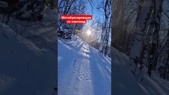 есть ли смысл их сравнивать?) #2tlife #снегоход #экстрим #буран #снег #горы смотреть онлайн