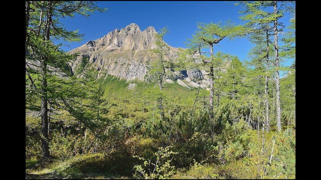 Забайкальский край смотреть онлайн