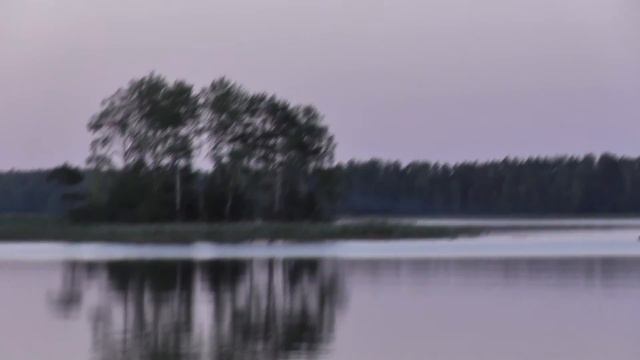 Озерный танцор